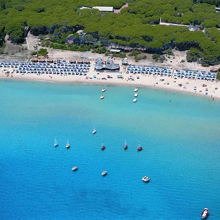 Le Palme Marina di Campo