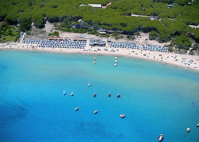 Le Palme Marina di Campo